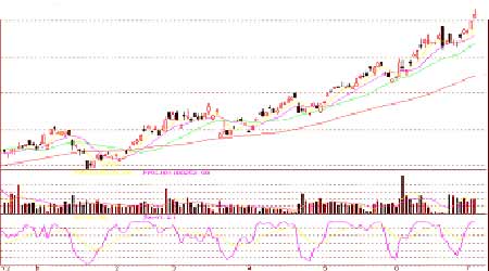 08���°����̓r(ji��)չ�����̓r(ji��)���c�칫ԇ�ȸ�(5)