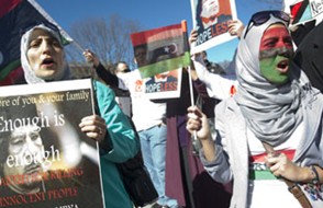 �Ж|�Ӂy���������л��