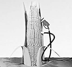 生物燃料將高速發(fā)展 生物燃料將高速發(fā)展