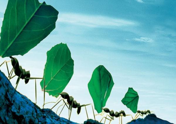 �����|�����|��