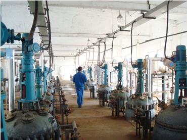 ����(x��)����