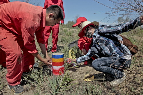 技術(shù) 技術(shù)
