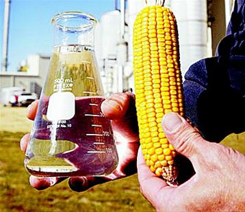 ����ȼ��